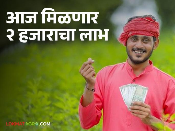 PM Kisan Samman Nidhi: The 17th installment of PM Kisan Yojana will be credited to farmers' accounts today | PM Kisan Samman Nidhi पीएम किसान योजनेचा १७ वा हप्ता आज शेतकऱ्यांच्या खात्यात जमा होणार PM Kisan Samman Nidhi: The 17th installment of PM Kisan Yojana will be credited to farmers' accounts today | PM Kisan Samman Nidhi पीएम किसान योजनेचा १७ वा हप्ता आज शेतकऱ्यांच्या खात्यात जमा होणार