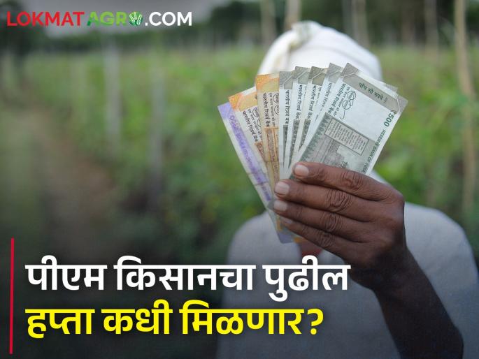 The next installment of PM Kisan will now be deposited in the bank account through the nodal officer | पीएम किसानचा पुढील हप्ता आता नोडल अधिकाऱ्याच्या माध्यमातून बँक खात्यात होणार जमा The next installment of PM Kisan will now be deposited in the bank account through the nodal officer | पीएम किसानचा पुढील हप्ता आता नोडल अधिकाऱ्याच्या माध्यमातून बँक खात्यात होणार जमा
