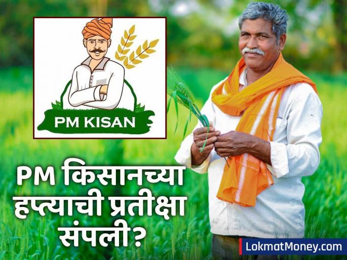 pm kisan 20th installment date 2000 to be credited soon check beneficiary list | शेतकऱ्यांसाठी खुशखबर! पीएम किसानचा २०वा हप्ता 'या' दिवशी खात्यात येणार? आत्ताच यादी तपासा!