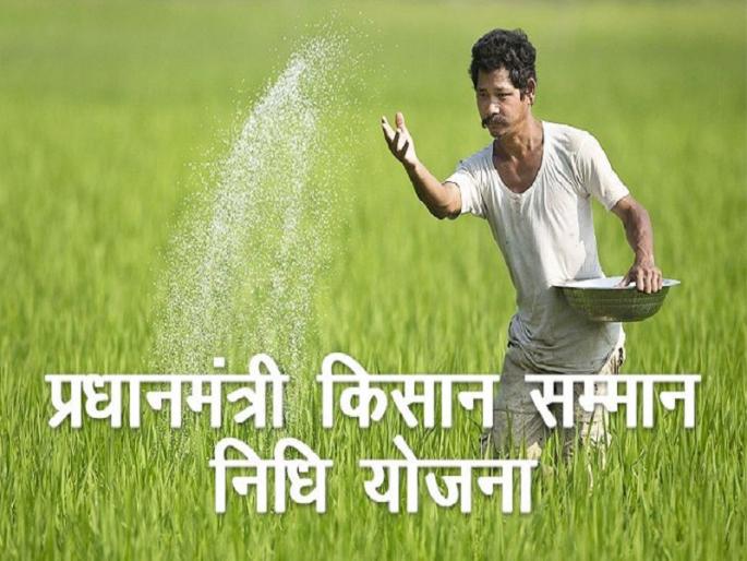 only 31% of the farmers information uploaded in the PM-Kisan Samman; The first installment of two thousand is not even released | राज्यात ३१ टक्के शेतकऱ्यांचीच माहिती ‘पीएम-किसान सन्मान’मध्ये अपलोड; दोन हजारांचा पहिला हप्ताही नाही