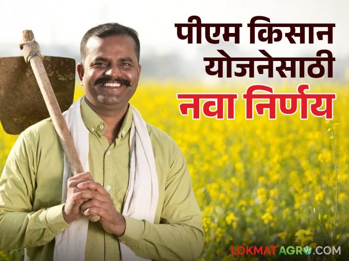 PM Kisan Scheme: Appointment of nodal officers according to taluka for PM Kisan Scheme, read in detail | PM Kisan Scheme : पीएम किसान योजनेसाठी तालुक्यानुसार नोडल ऑफिसरची नियुक्ती, वाचा सविस्तर  PM Kisan Scheme: Appointment of nodal officers according to taluka for PM Kisan Scheme, read in detail | PM Kisan Scheme : पीएम किसान योजनेसाठी तालुक्यानुसार नोडल ऑफिसरची नियुक्ती, वाचा सविस्तर