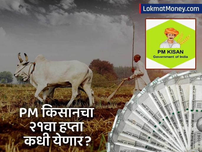 PM-Kisan 21st Installment Release Date Farmers Await ₹2,000 Transfer in November First Week 2025 | शेतकऱ्यांची प्रतीक्षा संपणार! पीएम किसानचा २१वा हप्ता नोव्हेंबरमध्ये जमा होणार? खात्यात येणार २,००० रुपये PM-Kisan 21st Installment Release Date Farmers Await ₹2,000 Transfer in November First Week 2025 | शेतकऱ्यांची प्रतीक्षा संपणार! पीएम किसानचा २१वा हप्ता नोव्हेंबरमध्ये जमा होणार? खात्यात येणार २,००० रुपये