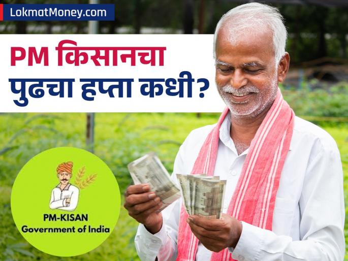 PM Kisan Latest Update Complete e-KYC, Land Seeding Before 20th Installment | पीएम किसानचा २०वा हप्ता कधी येणार? 'या' ४ चुका टाळा, नाहीतर पैसे अडकतील!