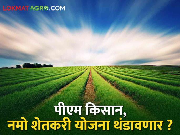 Agriculture Department to boycott PM Kisan, Namo Shetkari Mahasanman schemes | पीएम किसान, नमो शेतकरी महासन्मान योजनांवर कृषी विभाग घालणार बहिष्कार