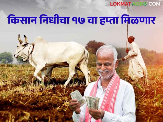 PM Kisan Samman Nidhi; Benefit of 17th installment of PM Kisan Yojana to farmers account soon | PM Kisan Samman Nidhi पी एम किसान योजनेचा १७ व्या हप्त्याचा लाभ लवकरच शेतकऱ्यांच्या खात्यावर PM Kisan Samman Nidhi; Benefit of 17th installment of PM Kisan Yojana to farmers account soon | PM Kisan Samman Nidhi पी एम किसान योजनेचा १७ व्या हप्त्याचा लाभ लवकरच शेतकऱ्यांच्या खात्यावर