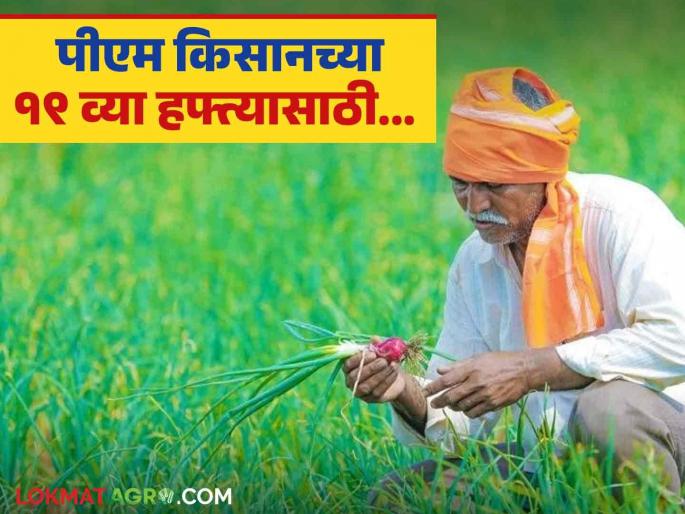 Latest News PM Kisan ekyc Do ekyc to get 19th installment of PM Kisan scheme Read in detail | PM Kisan ekyc : पीएम किसानचा 19 वा हफ्ता मिळण्यासाठी 'ही' गोष्ट कराच.. वाचा सविस्तर  Latest News PM Kisan ekyc Do ekyc to get 19th installment of PM Kisan scheme Read in detail | PM Kisan ekyc : पीएम किसानचा 19 वा हफ्ता मिळण्यासाठी 'ही' गोष्ट कराच.. वाचा सविस्तर