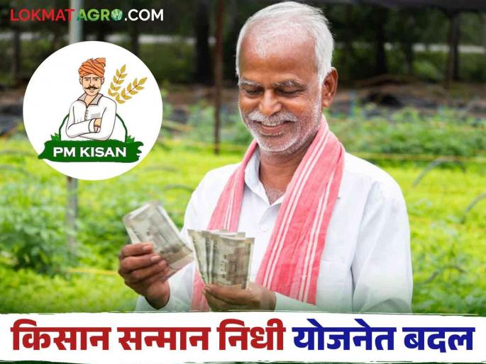 PM Kisan Yojana : Farmers, new rules have come in PM Kisan Yojana read in detail | PM Kisan Yojana : शेतकऱ्यांनो पीएम किसान योजनेत आले नवीन नियम वाचा सविस्तर PM Kisan Yojana : Farmers, new rules have come in PM Kisan Yojana read in detail | PM Kisan Yojana : शेतकऱ्यांनो पीएम किसान योजनेत आले नवीन नियम वाचा सविस्तर