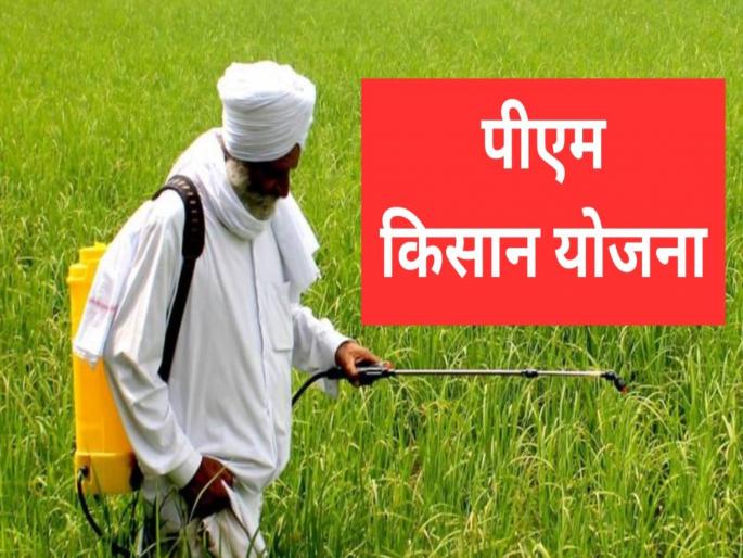 Number of 'PM-KISAN' beneficiaries increases fourfold in Maharashtra! | महाराष्ट्रात ‘पीएम-किसान’ लाभार्थी संख्येत चौपट वाढ! शेतकऱ्यांच्या खात्यात किती Number of 'PM-KISAN' beneficiaries increases fourfold in Maharashtra! | महाराष्ट्रात ‘पीएम-किसान’ लाभार्थी संख्येत चौपट वाढ! शेतकऱ्यांच्या खात्यात किती