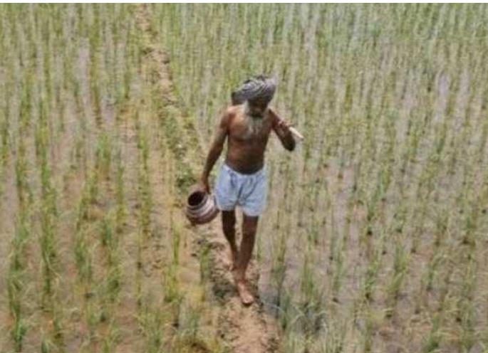 PM Kisan's sixth installment on farmers' account | पीएम किसानचा सहावा हप्ता शेतकऱ्यांच्या खात्यावर PM Kisan's sixth installment on farmers' account | पीएम किसानचा सहावा हप्ता शेतकऱ्यांच्या खात्यावर