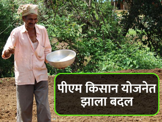 There has been a change in the PM Kisan Yojana in the state | राज्यात आता पीएम किसान योजनेत झाला असा बदल There has been a change in the PM Kisan Yojana in the state | राज्यात आता पीएम किसान योजनेत झाला असा बदल