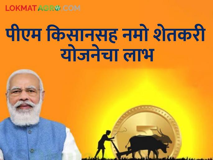 Latest News PM Narendra Modi will get funds for Namo Shetkari Yojana with PM Kisan on February 28 | PM Kisan : 'या' दिवशी मिळणार पीएम किसानसह नमो शेतकरी सन्मान योजनेचा हफ्ता Latest News PM Narendra Modi will get funds for Namo Shetkari Yojana with PM Kisan on February 28 | PM Kisan : 'या' दिवशी मिळणार पीएम किसानसह नमो शेतकरी सन्मान योजनेचा हफ्ता