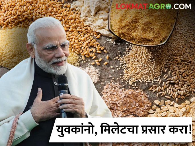 Latest News PM Modi In Nashik Young people, spread the millet! PM Modi's appeal in Nashik | PM Modi : युवकांनो, मिलेटचा प्रसार करा! पीएम मोदी यांचे नाशिकमध्ये आवाहन 