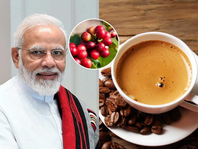 pm Narendra Modi Praised Koraput Coffee In Mann Ki Baat Know Its Benefits pm narendra modi koraput coffee koraput coffee benefits | पंतप्रधान मोदींना आवडते ओडिशाची खास कॉफी! पाहा कोरापुट कॉफी म्हणजे काय, खासियत काय... pm Narendra Modi Praised Koraput Coffee In Mann Ki Baat Know Its Benefits pm narendra modi koraput coffee koraput coffee benefits | पंतप्रधान मोदींना आवडते ओडिशाची खास कॉफी! पाहा कोरापुट कॉफी म्हणजे काय, खासियत काय...
