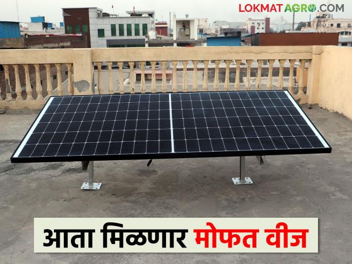 PM-Surya Ghar Yojana; How much subsidy will be available under free electricity scheme? | पीएम-सूर्य घर योजना; मोफत वीज योजनेअंतर्गत मिळेल किती अनुदान? PM-Surya Ghar Yojana; How much subsidy will be available under free electricity scheme? | पीएम-सूर्य घर योजना; मोफत वीज योजनेअंतर्गत मिळेल किती अनुदान?