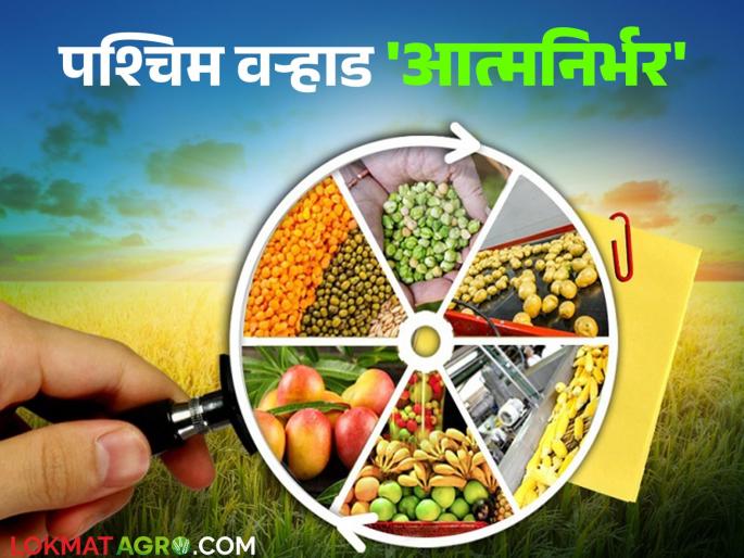 PMFME Scheme: Unemployed people in West Vidarbha have taken over industries! | PMFME Scheme : पश्चिम वऱ्हाडात बेरोजगारांनी धरली उद्योगांची कास! PMFME Scheme: Unemployed people in West Vidarbha have taken over industries! | PMFME Scheme : पश्चिम वऱ्हाडात बेरोजगारांनी धरली उद्योगांची कास!