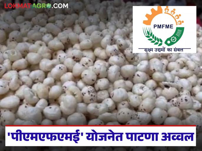 latest news PMFME Scheme: Patna tops in 'PMFME' scheme; Why did Sambhajinagar's performance decline? | PMFME Scheme: 'पीएमएफएमई' योजनेत पाटणा अव्वल; संभाजीनगरची कामगिरी का घसरली? latest news PMFME Scheme: Patna tops in 'PMFME' scheme; Why did Sambhajinagar's performance decline? | PMFME Scheme: 'पीएमएफएमई' योजनेत पाटणा अव्वल; संभाजीनगरची कामगिरी का घसरली?
