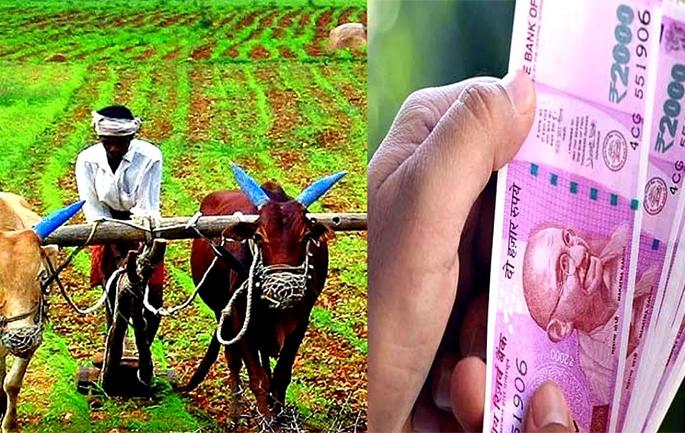 Farmers to e-KYC with Aadhaar by September 7; Otherwise further installments will not be received | ७ सप्टेंबरपर्यंत शेतकऱ्यांनी आधारशी ई-केवायसी करा; अन्यथा पुढील हप्ते मिळणार नाहीत Farmers to e-KYC with Aadhaar by September 7; Otherwise further installments will not be received | ७ सप्टेंबरपर्यंत शेतकऱ्यांनी आधारशी ई-केवायसी करा; अन्यथा पुढील हप्ते मिळणार नाहीत