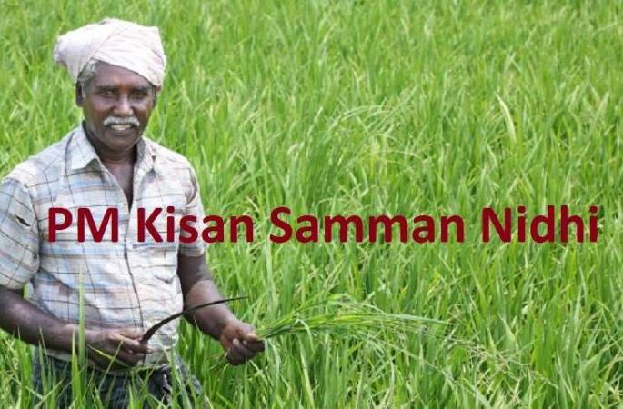 1.99 lakh farmers in Akola district benefit from 'PM-Kisan'! | अकोला जिल्ह्यातील १.९९ लाख शेतकऱ्यांना ‘पीएम-किसान’चा लाभ! 1.99 lakh farmers in Akola district benefit from 'PM-Kisan'! | अकोला जिल्ह्यातील १.९९ लाख शेतकऱ्यांना ‘पीएम-किसान’चा लाभ!