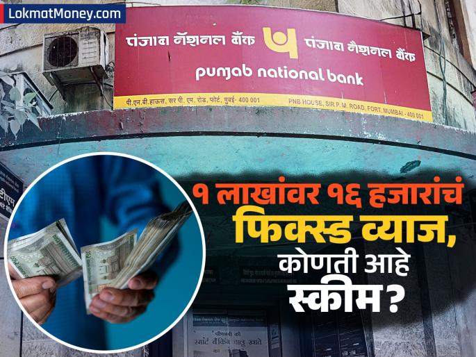 Deposit Rs 1 lakh in PNB get fixed interest of rs 16 25 Quickly check scheme details | PNB मध्ये १ लाख रुपये जमा करा, मिळेल ₹१६,२५० चं फिक्स व्याज; पटापट चेक करा स्कीम डिटेल्स