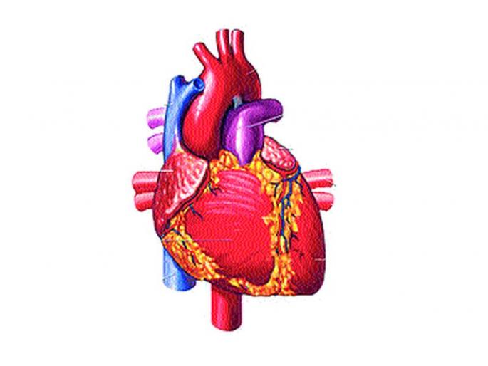 The 70-year-old survivor saved lives of four | ७० वर्षीय नागरिकाने वाचविले चौघांचे प्राण The 70-year-old survivor saved lives of four | ७० वर्षीय नागरिकाने वाचविले चौघांचे प्राण