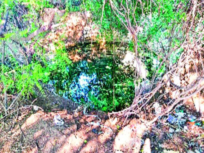 'She' knows the waste of the waste | ‘ती’ विहीरच कचऱ्याच्या विळख्यात 'She' knows the waste of the waste | ‘ती’ विहीरच कचऱ्याच्या विळख्यात