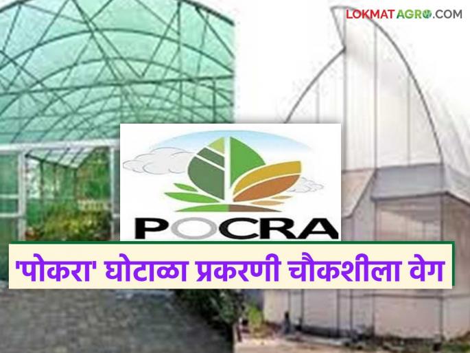 latest news POCRA Scam: Pokra scheme inquiry: Notices issued to 15 officials for not submitting report | POCRA Scam : पोकरा योजना चौकशी: अहवाल न दिल्यामुळे १५ अधिकाऱ्यांना नोटिसा
