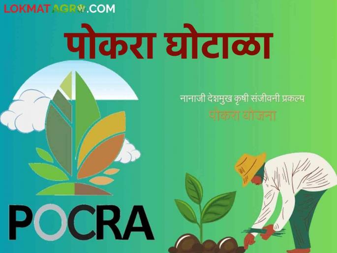 Pocra Scam : on agricultural assistants government take action ; Why not taken action to Sub-Divisional Agriculture Officers? Read in detail  | Pocra Scam : कृषी सहायकांवर कारवाई; उपविभागीय कृषी अधिकाऱ्यांना अभय असे का? वाचा सविस्तर 