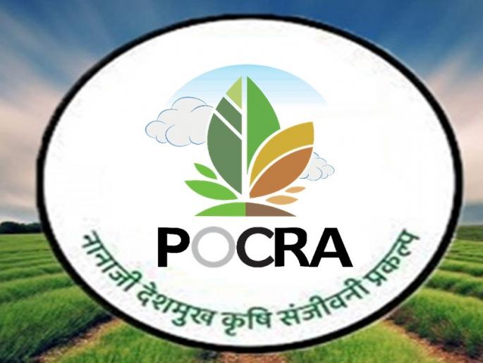 Lokmat Impact: Then sub-divisional agriculture officer Sheetal Chavan suspended in multi-crore POCRA scam | कोट्यवधींच्या पोकरा घोटाळाप्रकरणी तत्कालीन उपविभागीय कृषी अधिकारी शीतल चव्हाण निलंबित Lokmat Impact: Then sub-divisional agriculture officer Sheetal Chavan suspended in multi-crore POCRA scam | कोट्यवधींच्या पोकरा घोटाळाप्रकरणी तत्कालीन उपविभागीय कृषी अधिकारी शीतल चव्हाण निलंबित