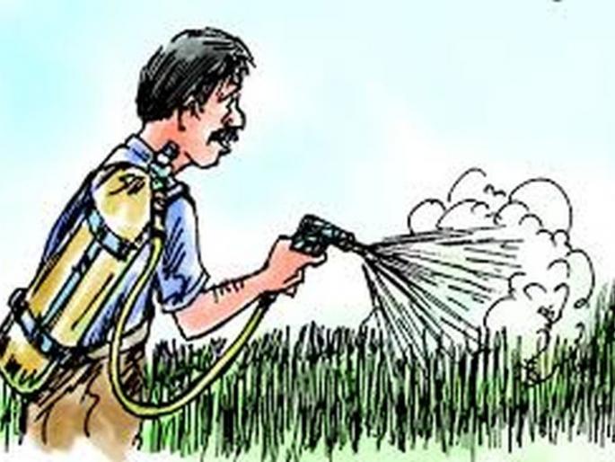 Two farmer poisoning by Spraying pesticides in field | दोन शेतकऱ्यांना फवारणीतून विषबाधा Two farmer poisoning by Spraying pesticides in field | दोन शेतकऱ्यांना फवारणीतून विषबाधा