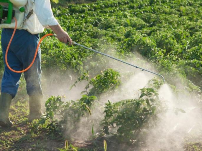 Poisoning from spraying: Health check of only 468 farmers-farm laborers! | फवारणीतून विषबाधा : केवळ ४६८ शेतकरी-शेतमजुरांची आरोग्य तपासणी!