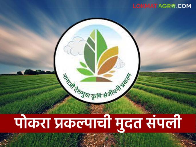Pocra Scheme 780 people will lose their jobs in the Pocra project; Deadline from Agriculture Sanjeevani | Pocra Scheme पोकरा प्रकल्पातील ७८० जणांची नोकरी जाणार; कृषी संजीवनीची डेडलाइन
