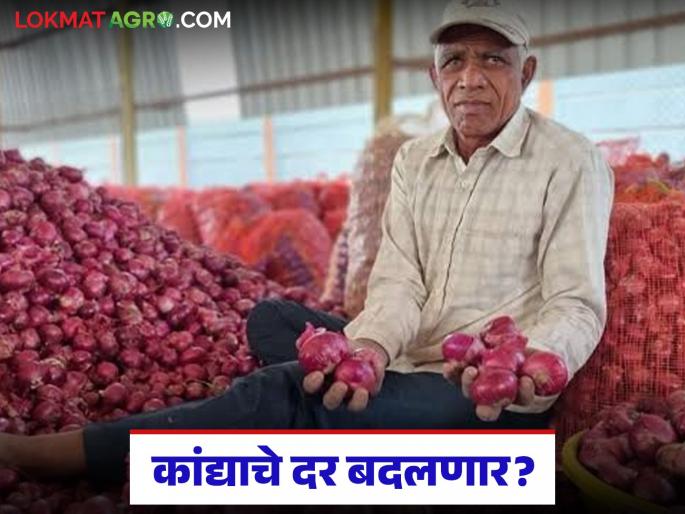 Latest news kanda bajarbhav Onion market prices in maharashtra on December 6th | Kanda Market : 'या' मार्केटमध्ये उन्हाळपेक्षा पोळ कांद्याला चांगला भाव मिळतोय, वाचा सविस्तर Latest news kanda bajarbhav Onion market prices in maharashtra on December 6th | Kanda Market : 'या' मार्केटमध्ये उन्हाळपेक्षा पोळ कांद्याला चांगला भाव मिळतोय, वाचा सविस्तर