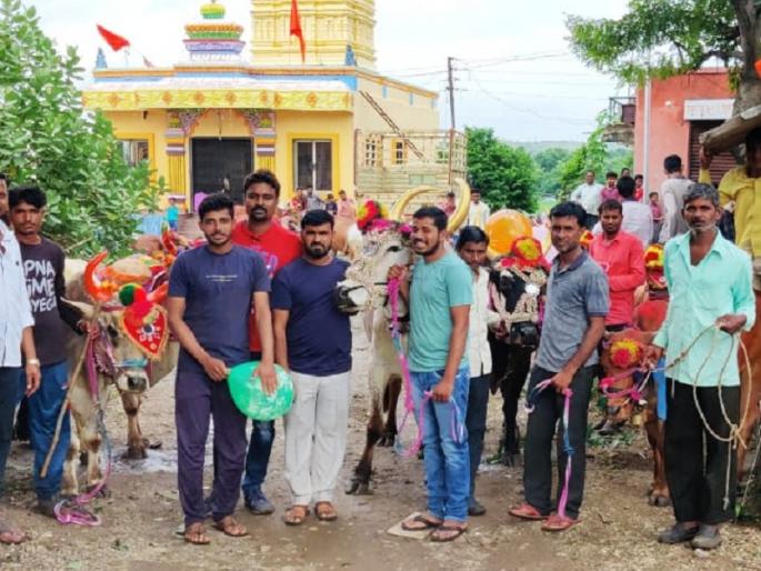 This year the Pola is celebrated in simple way; Baliraja worshiped Sarjaraja without taking out a procession | यंदा पोळा साध्या पद्धतीने; बळीराजाने मिरवणुक न काढता केले सर्जाराज्याचे पूजन This year the Pola is celebrated in simple way; Baliraja worshiped Sarjaraja without taking out a procession | यंदा पोळा साध्या पद्धतीने; बळीराजाने मिरवणुक न काढता केले सर्जाराज्याचे पूजन