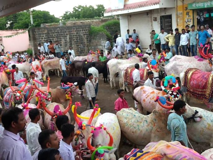 Pola will not be held this year: Order issued by the District Collector | यंदा पोळा भरणार नाही : जिल्हाधिकाऱ्यांनी काढले आदेश