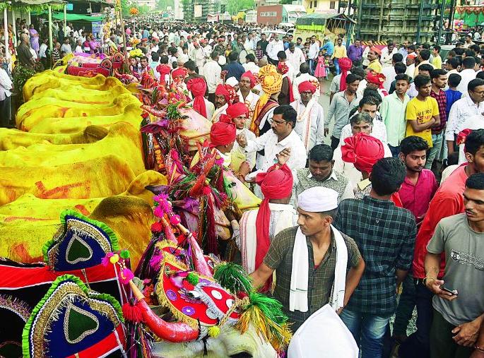 Big bull burned in Nagpur with enthusiasm | नागपुरात उत्साहात साजरा झाला मोठा बैल पोळा Big bull burned in Nagpur with enthusiasm | नागपुरात उत्साहात साजरा झाला मोठा बैल पोळा