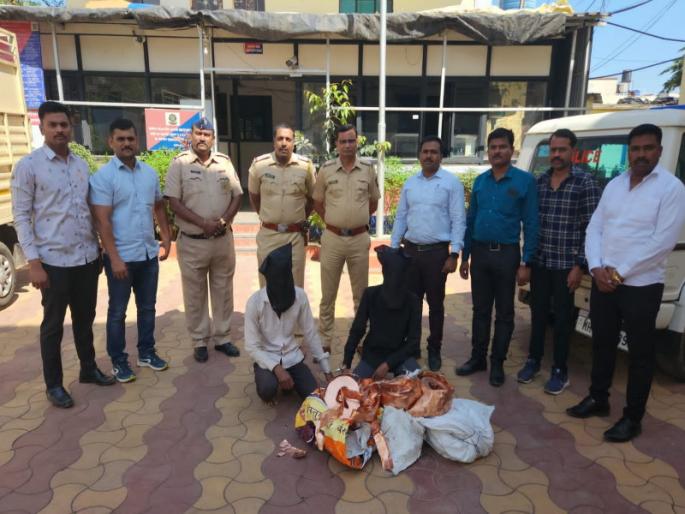 The two who stole yards worth 4 lakhs are finally in custody | तब्बल ४ लाखांचे गज चोरणारे दोघे अखेर ताब्यात The two who stole yards worth 4 lakhs are finally in custody | तब्बल ४ लाखांचे गज चोरणारे दोघे अखेर ताब्यात