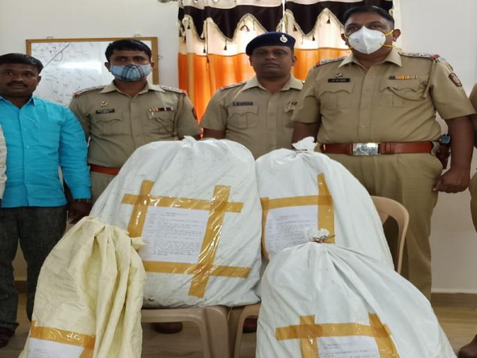 Opium cultivation in groundnut fields in Indapur 32 kg of opium bonds seized along with 1000 trees | इंदापूरात भुईमुगाच्या शेतात अफुची लागवड; १ हजार १३५ झाडांसह ३२ किलो ग्रॅम अफुची बोंडे जप्त Opium cultivation in groundnut fields in Indapur 32 kg of opium bonds seized along with 1000 trees | इंदापूरात भुईमुगाच्या शेतात अफुची लागवड; १ हजार १३५ झाडांसह ३२ किलो ग्रॅम अफुची बोंडे जप्त