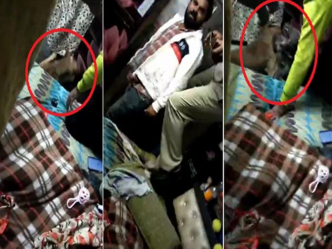 Delhi: Family claims pet dog died after delhi police forced it to fight pitbull | पोलीस आरोपीला पकडायला गेले, घरात 'डॉग फाईट' लावून टाळ्या वाजवत राहिले अन् मग... Delhi: Family claims pet dog died after delhi police forced it to fight pitbull | पोलीस आरोपीला पकडायला गेले, घरात 'डॉग फाईट' लावून टाळ्या वाजवत राहिले अन् मग...