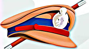 police inspector, API, PSI transfers under the district! | ठाणेदार, एपीआय, पीएसआयच्या जिल्ह्यांतर्गत बदल्या! police inspector, API, PSI transfers under the district! | ठाणेदार, एपीआय, पीएसआयच्या जिल्ह्यांतर्गत बदल्या!