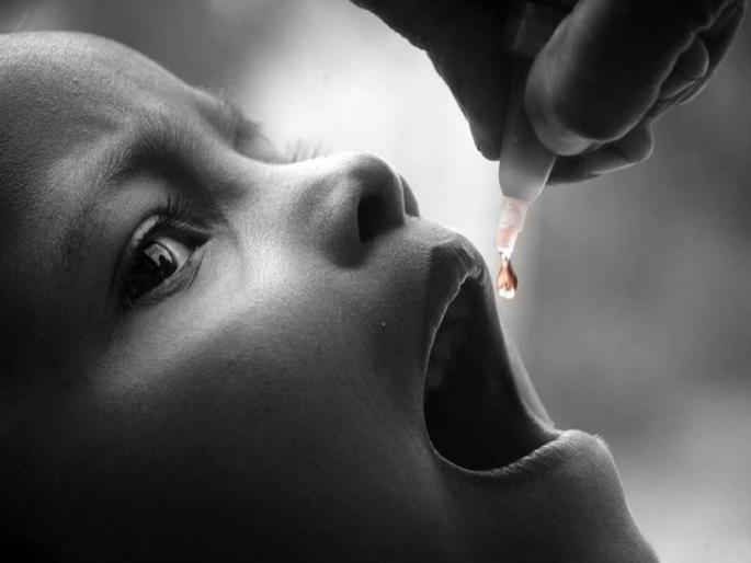 War stopped for two drops; The general vaccination campaign has started, polio vaccine will be given to 6.50 lakh children | दोन थेंबांसाठी थांबले युद्ध; महालसीकरणाला सुरुवात, ६.५० लाख बालकांना देणार पोलिओची लस War stopped for two drops; The general vaccination campaign has started, polio vaccine will be given to 6.50 lakh children | दोन थेंबांसाठी थांबले युद्ध; महालसीकरणाला सुरुवात, ६.५० लाख बालकांना देणार पोलिओची लस