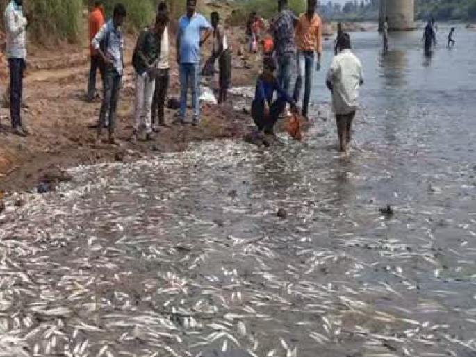 Ban Sangli Pollution Control Board; Warning of Prithviraj Pawar, Satish Sakhalkar | सांगली प्रदूषण नियंत्रण मंडळाला टाळे ठोकू; पृथ्वीराज पवार, सतीश साखळकरांचा इशारा Ban Sangli Pollution Control Board; Warning of Prithviraj Pawar, Satish Sakhalkar | सांगली प्रदूषण नियंत्रण मंडळाला टाळे ठोकू; पृथ्वीराज पवार, सतीश साखळकरांचा इशारा