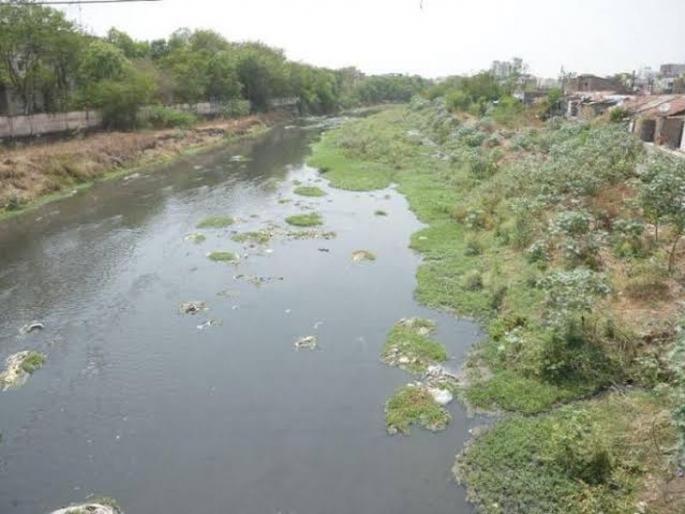 The most polluted of rivers in Nagpur district: increase in pollution of Nag river | नागपूर जिल्ह्यातील नद्या सर्वाधिक प्रदूषित : नाग नदीच्या प्रदूषणात वाढ The most polluted of rivers in Nagpur district: increase in pollution of Nag river | नागपूर जिल्ह्यातील नद्या सर्वाधिक प्रदूषित : नाग नदीच्या प्रदूषणात वाढ