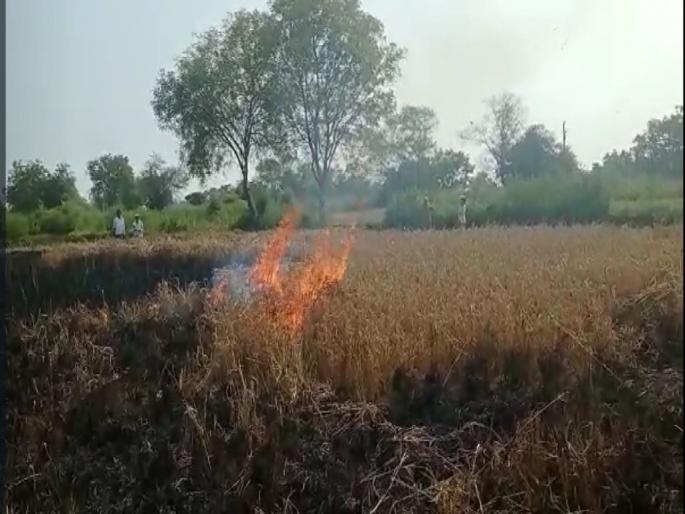 cost one lakh, production not even one rupee, The farmer set fire to four acres of standing paddy | खर्च एक लाख, उत्पादन एक छदामही नाही, शेतकऱ्याने पेटविले चार एकारांतील उभे धान