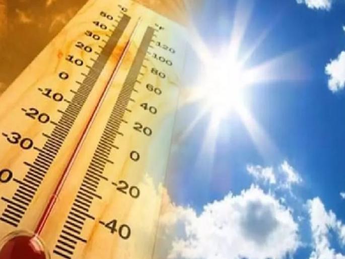 250 hens dead due to heatstroke in sangli | Sangli: उपळावीत उष्माघाताने अडीचशे कोंबड्या मृत, लाखाचे नुकसान 250 hens dead due to heatstroke in sangli | Sangli: उपळावीत उष्माघाताने अडीचशे कोंबड्या मृत, लाखाचे नुकसान