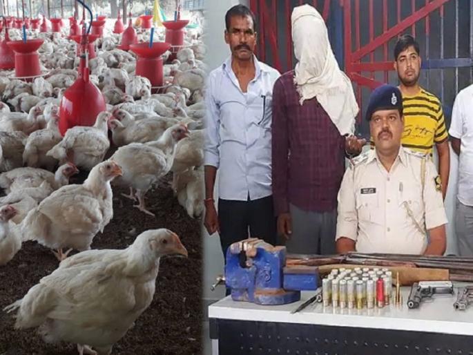 gun factory in a poultry farm, several rifles and live cartridges seized | पोल्ट्री फॉर्ममध्ये सुरू होता बंदुकीचा कारखाना, अनेक रायफल आणि जिवंत काडतूस जप्त