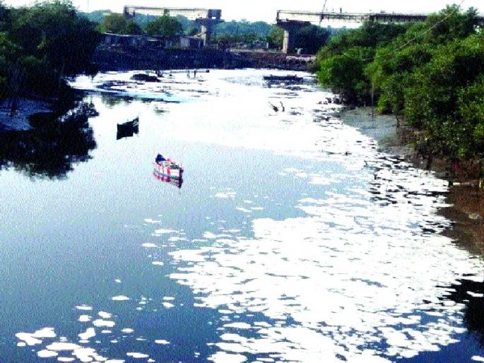 Due to chemical sewage, pollution of Nalasopara creek, fishing, farming, salt production | रासायनिक सांडपाण्यामुळे नालासोपारा खाडी प्रदूषित, मासेमारी, शेती, मीठ उत्पादनावर परिणाम