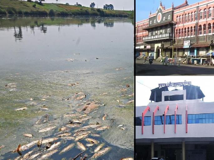 Notices issued to Kolhapur, Ichalkaranji Municipal Corporation in Panchganga pollution case | पंचगंगा प्रदूषणप्रकरणी कोल्हापूर, इचलकरंजी महापालिकेला नोटिसा; आठ औद्योगिक वसाहती, प्रोसेसधारकांचाही समावेश Notices issued to Kolhapur, Ichalkaranji Municipal Corporation in Panchganga pollution case | पंचगंगा प्रदूषणप्रकरणी कोल्हापूर, इचलकरंजी महापालिकेला नोटिसा; आठ औद्योगिक वसाहती, प्रोसेसधारकांचाही समावेश