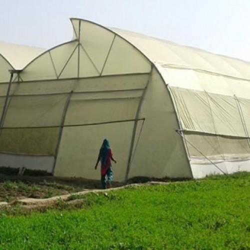 Policy House Training for farmers | पॉली हाउस उभारणीकडे कल; शेतकऱ्यांना प्रशिक्षण Policy House Training for farmers | पॉली हाउस उभारणीकडे कल; शेतकऱ्यांना प्रशिक्षण