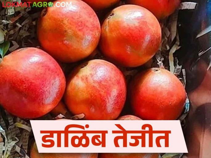 Dalimb Market: How much the price of pomegranates received per kg in Baramati market | Dalimb Market : बारामती बाजारात डाळिंबाची मोठी आवक किलोला मिळाला असा दर Dalimb Market: How much the price of pomegranates received per kg in Baramati market | Dalimb Market : बारामती बाजारात डाळिंबाची मोठी आवक किलोला मिळाला असा दर