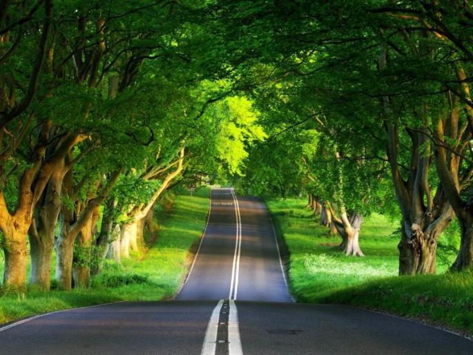 Bangalore to Puducherry Road Trip, November is Perfect Timing! | बंगळुरु ते पुदुच्चेरी रोड ट्रिप, नोव्हेंबर आहे परफेक्ट टायमिंग! Bangalore to Puducherry Road Trip, November is Perfect Timing! | बंगळुरु ते पुदुच्चेरी रोड ट्रिप, नोव्हेंबर आहे परफेक्ट टायमिंग!